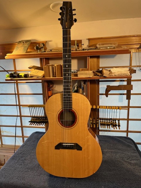 Dandy Guitar,D-44
