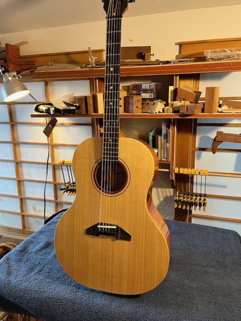 Dandy Guitar,D-40