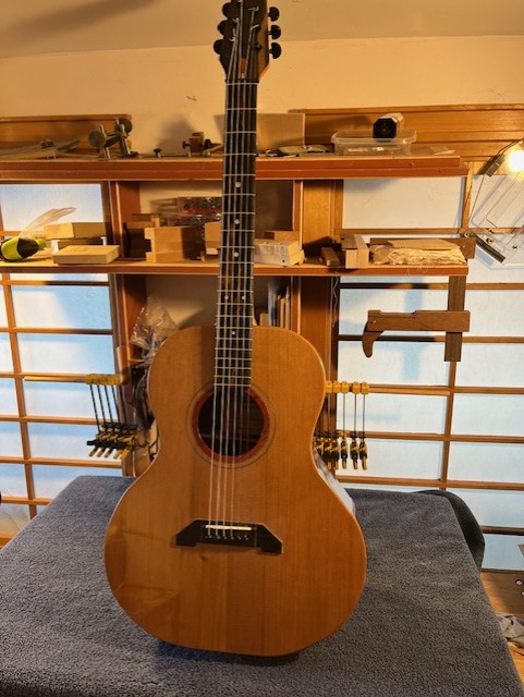 Dandy Guitar,D-45