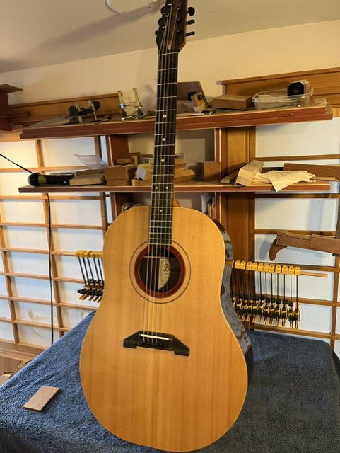 Dandy Guitar,d-49