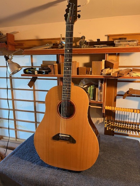 Dandy Guitar,DD-34